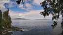 ./images/koeye/fitz-hugh/20260610/fitz-hugh20260610_103502M.jpg