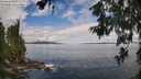 ./images/koeye/fitz-hugh/20260610/fitz-hugh20260610_104001M.jpg