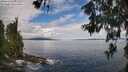 ./images/koeye/fitz-hugh/20260610/fitz-hugh20260610_104502M.jpg
