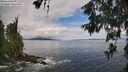./images/koeye/fitz-hugh/20260610/fitz-hugh20260610_105501M.jpg