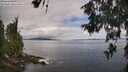 ./images/koeye/fitz-hugh/20260610/fitz-hugh20260610_110001M.jpg
