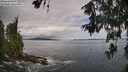 ./images/koeye/fitz-hugh/20260610/fitz-hugh20260610_110501M.jpg