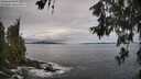./images/koeye/fitz-hugh/20260610/fitz-hugh20260610_111001M.jpg