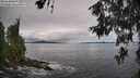 ./images/koeye/fitz-hugh/20260610/fitz-hugh20260610_111501M.jpg
