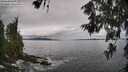 ./images/koeye/fitz-hugh/20260610/fitz-hugh20260610_113001M.jpg
