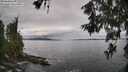 ./images/koeye/fitz-hugh/20260610/fitz-hugh20260610_113501M.jpg