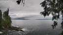 ./images/koeye/fitz-hugh/20260610/fitz-hugh20260610_114001M.jpg