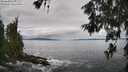 ./images/koeye/fitz-hugh/20260610/fitz-hugh20260610_114501M.jpg