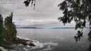 ./images/koeye/fitz-hugh/20260610/fitz-hugh20260610_115001M.jpg