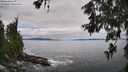 ./images/koeye/fitz-hugh/20260610/fitz-hugh20260610_115502M.jpg