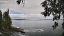 ./images/koeye/fitz-hugh/20260610/fitz-hugh20260610_120001M.jpg