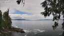 ./images/koeye/fitz-hugh/20260610/fitz-hugh20260610_120501M.jpg