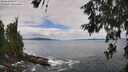 ./images/koeye/fitz-hugh/20260610/fitz-hugh20260610_121001M.jpg