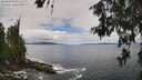 ./images/koeye/fitz-hugh/20260610/fitz-hugh20260610_121501M.jpg
