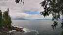 ./images/koeye/fitz-hugh/20260610/fitz-hugh20260610_122002M.jpg