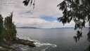 ./images/koeye/fitz-hugh/20260610/fitz-hugh20260610_122501M.jpg