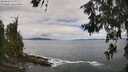./images/koeye/fitz-hugh/20260610/fitz-hugh20260610_123501M.jpg
