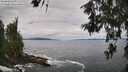 ./images/koeye/fitz-hugh/20260610/fitz-hugh20260610_124502M.jpg