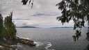 ./images/koeye/fitz-hugh/20260610/fitz-hugh20260610_125501M.jpg