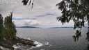 ./images/koeye/fitz-hugh/20260610/fitz-hugh20260610_130001M.jpg