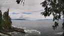 ./images/koeye/fitz-hugh/20260610/fitz-hugh20260610_130501M.jpg