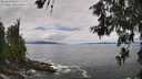 ./images/koeye/fitz-hugh/20260610/fitz-hugh20260610_131001M.jpg
