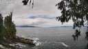 ./images/koeye/fitz-hugh/20260610/fitz-hugh20260610_131501M.jpg