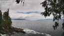 ./images/koeye/fitz-hugh/20260610/fitz-hugh20260610_132002M.jpg