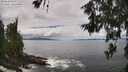 ./images/koeye/fitz-hugh/20260610/fitz-hugh20260610_134001M.jpg