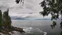 ./images/koeye/fitz-hugh/20260610/fitz-hugh20260610_134501M.jpg