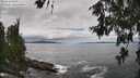 ./images/koeye/fitz-hugh/20260610/fitz-hugh20260610_135001M.jpg