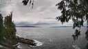 ./images/koeye/fitz-hugh/20260610/fitz-hugh20260610_135501M.jpg