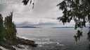 ./images/koeye/fitz-hugh/20260610/fitz-hugh20260610_140001M.jpg