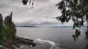./images/koeye/fitz-hugh/20260610/fitz-hugh20260610_140501M.jpg