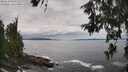 ./images/koeye/fitz-hugh/20260610/fitz-hugh20260610_141001M.jpg