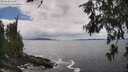./images/koeye/fitz-hugh/20260610/fitz-hugh20260610_142502M.jpg