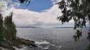 ./images/koeye/fitz-hugh/20260610/fitz-hugh20260610_143501M.jpg