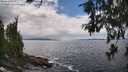 ./images/koeye/fitz-hugh/20260610/fitz-hugh20260610_144002M.jpg