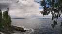./images/koeye/fitz-hugh/20260610/fitz-hugh20260610_144501M.jpg