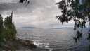 ./images/koeye/fitz-hugh/20260610/fitz-hugh20260610_145001M.jpg