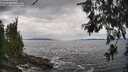 ./images/koeye/fitz-hugh/20260610/fitz-hugh20260610_145501M.jpg