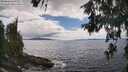 ./images/koeye/fitz-hugh/20260610/fitz-hugh20260610_154001M.jpg