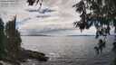 ./images/koeye/fitz-hugh/20260610/fitz-hugh20260610_155001M.jpg