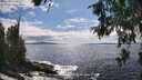 ./images/koeye/fitz-hugh/20260610/fitz-hugh20260610_161501M.jpg