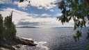./images/koeye/fitz-hugh/20260610/fitz-hugh20260610_162001M.jpg