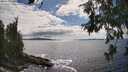 ./images/koeye/fitz-hugh/20260610/fitz-hugh20260610_162501M.jpg