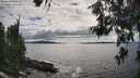 ./images/koeye/fitz-hugh/20260610/fitz-hugh20260610_164001M.jpg
