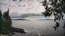 ./images/koeye/fitz-hugh/20260610/fitz-hugh20260610_164501M.jpg