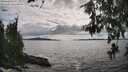 ./images/koeye/fitz-hugh/20260610/fitz-hugh20260610_165002M.jpg