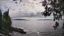 ./images/koeye/fitz-hugh/20260610/fitz-hugh20260610_165501M.jpg